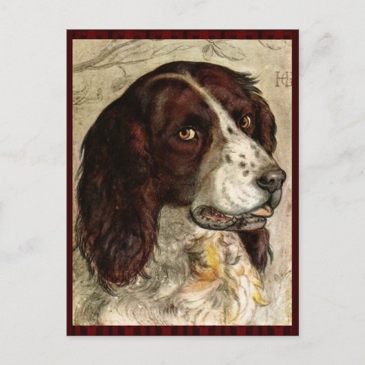 Cocker Spaniel-Hundedruck Postkarte (Vorderseite)