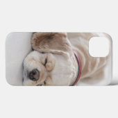 Cocker spaniel-Hundeschlafen Case-Mate iPhone Hülle (Rückseite (Horizontal))