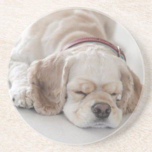 Cocker spaniel-Hundeschlafen Getränkeuntersetzer