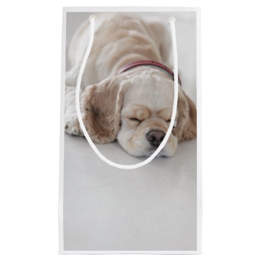 Cocker spaniel-Hundeschlafen Kleine Geschenktüte (Vorderseite)