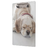 Cocker spaniel-Hundeschlafen Klemmbrett (Links)
