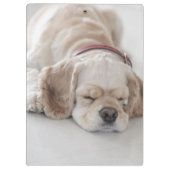 Cocker spaniel-Hundeschlafen Klemmbrett (Rückseite)