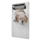 Cocker spaniel-Hundeschlafen Mini Klemmbrett (Gewinkelt2)