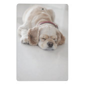 Cocker spaniel-Hundeschlafen Mini Klemmbrett (Rückseite)