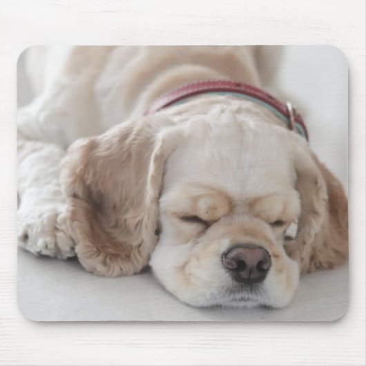 Cocker spaniel-Hundeschlafen Mousepad (Vorne)