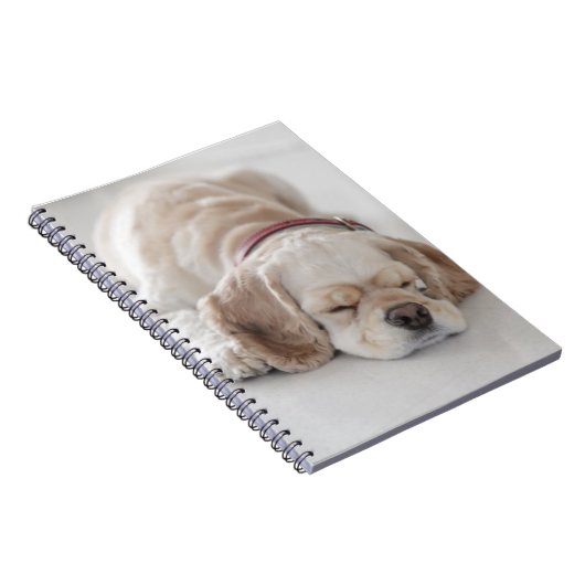 Cocker spaniel-Hundeschlafen Notizblock (Rechte Seite)