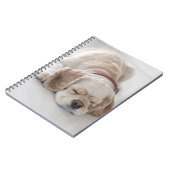 Cocker spaniel-Hundeschlafen Notizblock (Linke Seite)