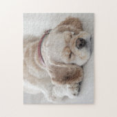 Cocker spaniel-Hundeschlafen Puzzle (Vertikal)