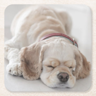 Cocker spaniel-Hundeschlafen Rechteckiger Pappuntersetzer