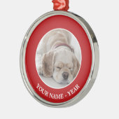 Cocker spaniel-Hundeschlafen Silbernes Ornament (Links)