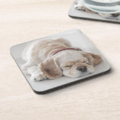 Cocker spaniel-Hundeschlafen Untersetzer (Linke Seite)