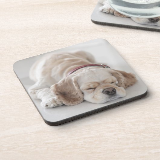 Cocker spaniel-Hundeschlafen Untersetzer (Linke Seite)