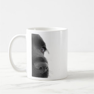 Cocker spaniel kaffeetasse