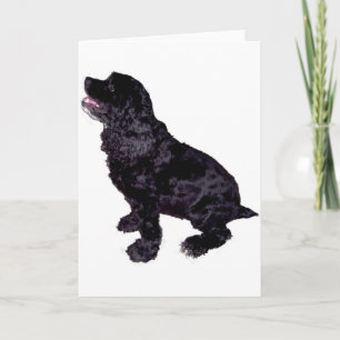 Cocker Spaniel Karte