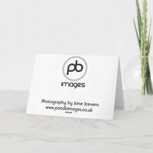 Cocker Spaniel Karte (Rückseite)