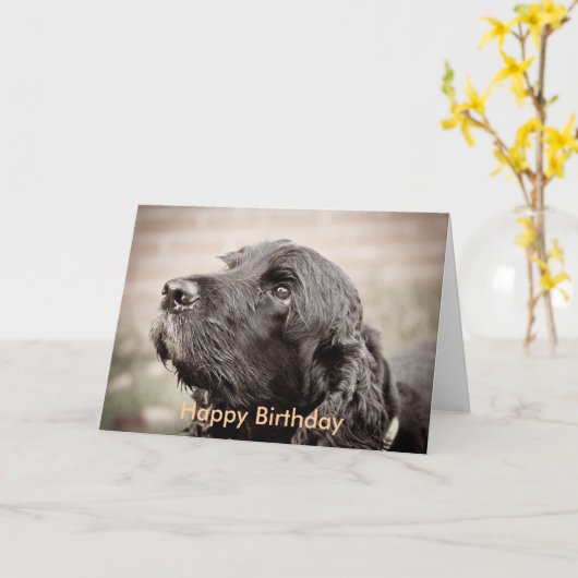 Cocker Spaniel Karte (Gelbe Blume)