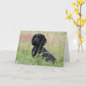 Cocker Spaniel Karte (Gelbe Blume)