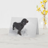 Cocker spaniel-Karte Karte (Gelbe Blume)