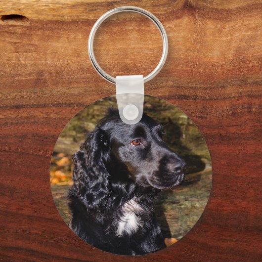 Cocker Spaniel Keyring Schlüsselanhänger (Vorderseite)