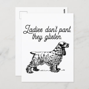 Cocker Spaniel Ladys Glisten Funny Pet Joke Postkarte