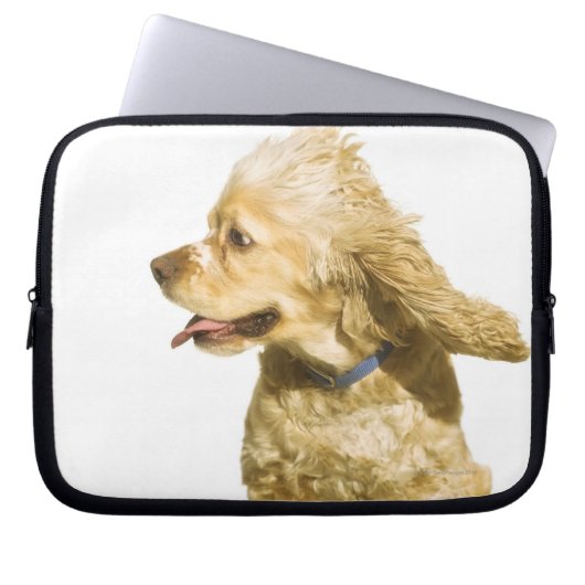 Cocker Spaniel Laptopschutzhülle (Vorderseite)