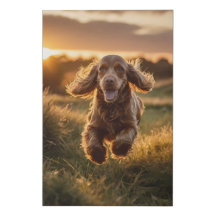 Cocker Spaniel Leinwand Wall Art