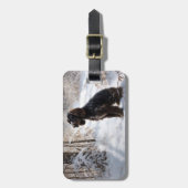 Cocker Spaniel Let It Snow Weihnachten Gepäckanhänger (Vorderseite vertikal)