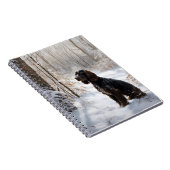 Cocker Spaniel Let It Snow Weihnachten Notizblock (Rechte Seite)