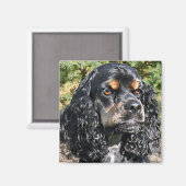 Cocker Spaniel Magnet (Vorderseite/Rückseite)