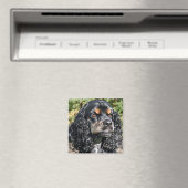 Cocker Spaniel Magnet (In Situ (Geschirrspüler))