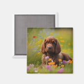 Cocker Spaniel Magnet (Vorderseite/Rückseite)