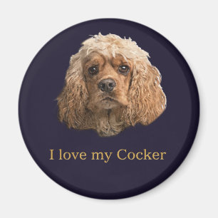 Cocker spaniel     magnet