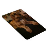 Cocker Spaniel Magnet (Rechte Seite)