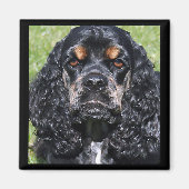 Cocker Spaniel Magnet (Vorne)
