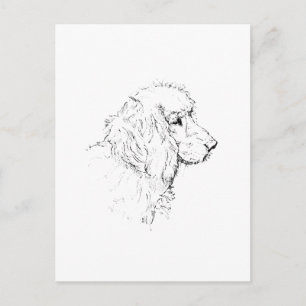 Cocker Spaniel – Minimalistische Strichzeichnung Postkarte