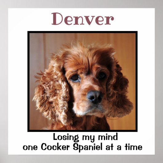 Cocker Spaniel mit Zitat Individuelle Wandkunst Poster (Vorne)