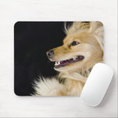 Cocker-Spaniel-Mix auf der Rückseite Mousepad (Mit Mouse)