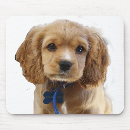 Cocker Spaniel Mousepad (Vorne)