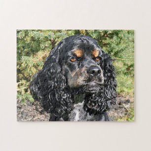 Cocker Spaniel Nah-Up 2 Puzzle