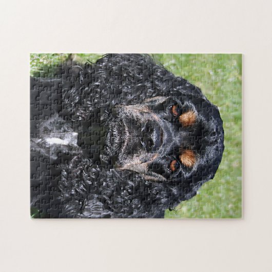 Cocker Spaniel Nah-Up Puzzle (Horizontal)