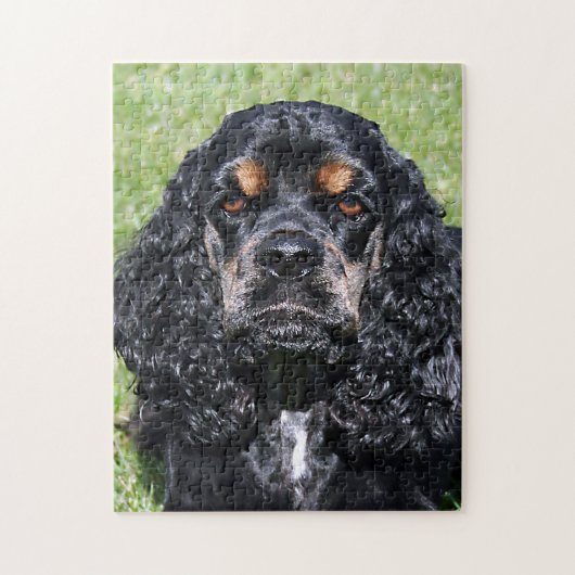 Cocker Spaniel Nah-Up Puzzle (Vertikal)