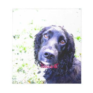 Cocker Spaniel Notizblock