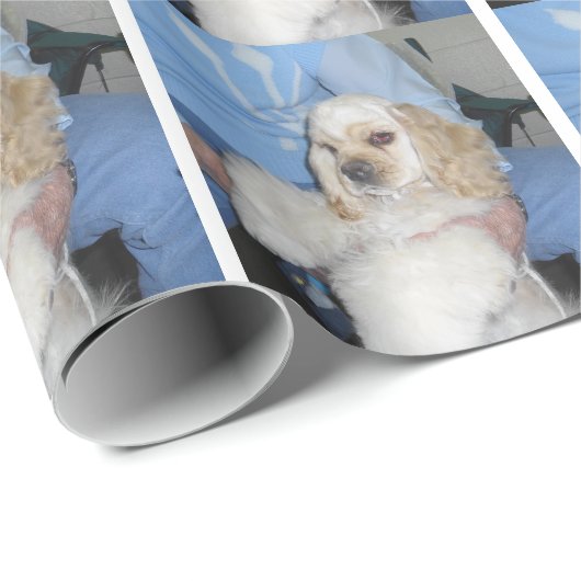 Cocker spaniel-Packpapier Geschenkpapier (Rolleneckpunkt)