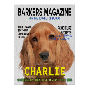 Cocker Spaniel Parody Magazine Cover Poster