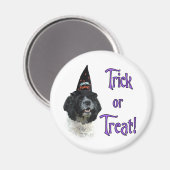 Cocker Spaniel (parti) Trick Magnet (Vorderseite/Rückseite)