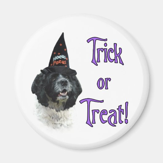 Cocker Spaniel (parti) Trick Magnet (Vorne)