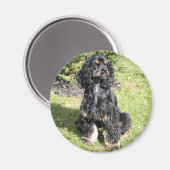 Cocker Spaniel Photo Magnet (Vorderseite/Rückseite)