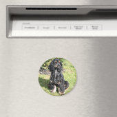 Cocker Spaniel Photo Magnet (In Situ (Geschirrspüler))