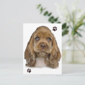 Cocker Spaniel Postcard Postkarte (Stehend Vorderseite)
