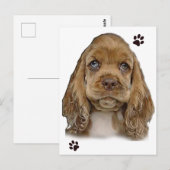 Cocker Spaniel Postcard Postkarte (Vorne/Hinten)